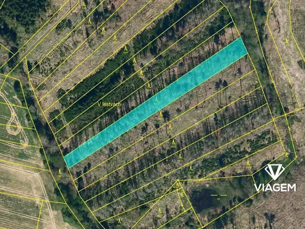 Prodej podílu lesa, Děkanovice, 948 m2