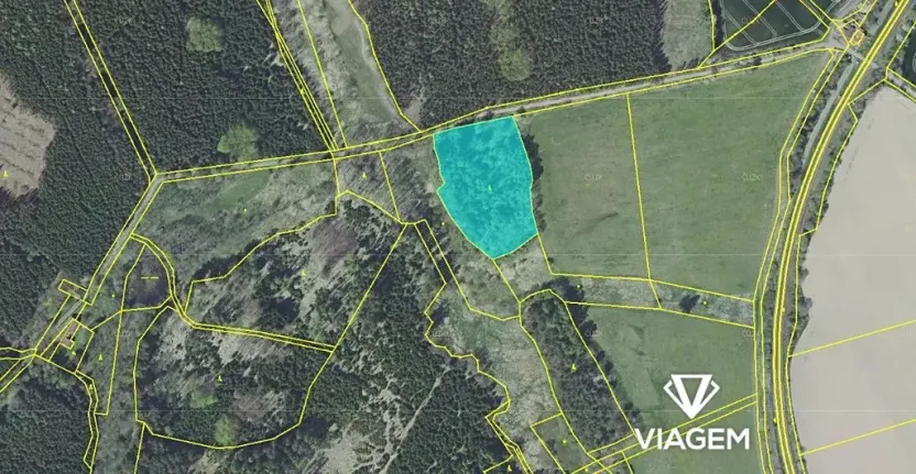 Prodej podílu lesa, Nová Ves u Leštiny, 1198 m2