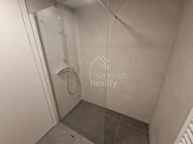 Pronájem bytu 3+kk, Hradec Králové - Svobodné Dvory, Pálenecká, 113 m2