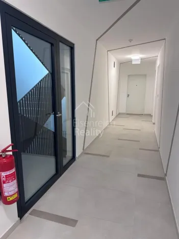 Pronájem bytu 3+kk, Hradec Králové - Svobodné Dvory, Pálenecká, 113 m2