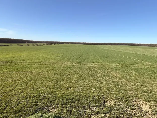 Prodej rodinného domu, Nechanice - Staré Nechanice, 125 m2