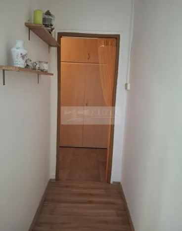 Pronájem bytu 1+1, Olomouc, Jungmannova, 38 m2