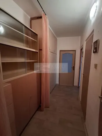 Pronájem bytu 1+1, Olomouc, Jungmannova, 38 m2