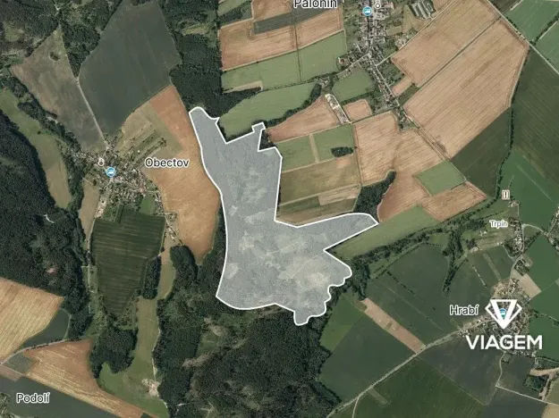 Prodej podílu lesa, Palonín, 94377 m2