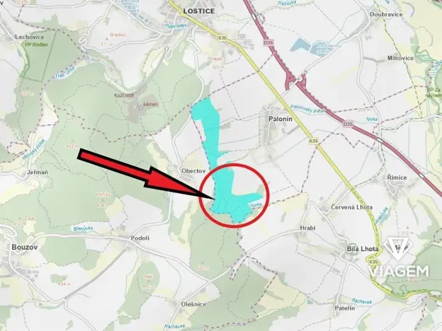 Prodej podílu lesa, Palonín, 94377 m2