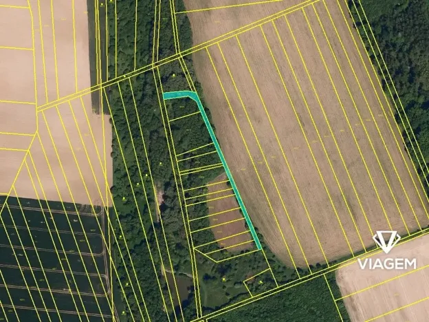 Prodej podílu lesa, Bystřice pod Hostýnem, 597 m2