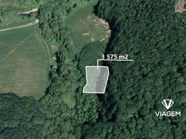 Prodej podílu lesa, Žlutava, 2234 m2