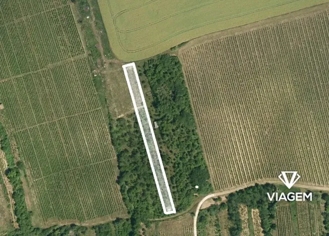 Prodej podílu zahrady, Bzenec, 679 m2