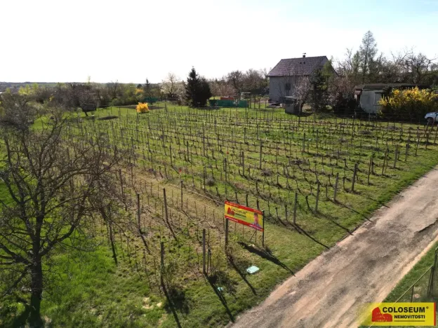 Prodej pozemku pro bydlení, Nový Šaldorf-Sedlešovice, 3428 m2