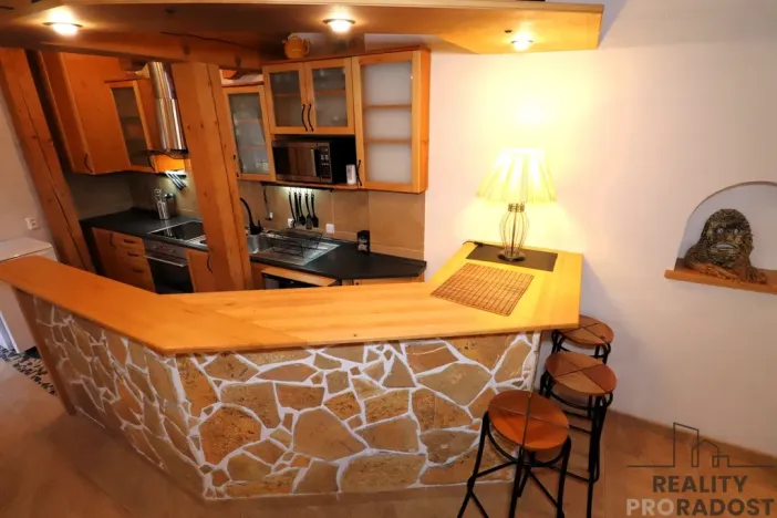 Pronájem bytu 1+kk, Želešice, 24. dubna, 77 m2