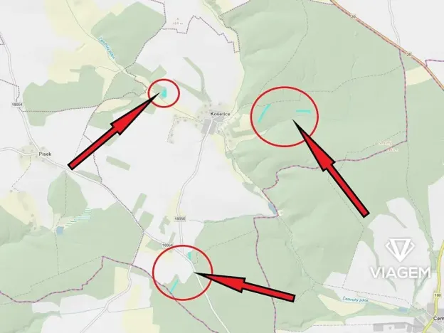 Prodej podílu lesa, Líšťany, 2059 m2