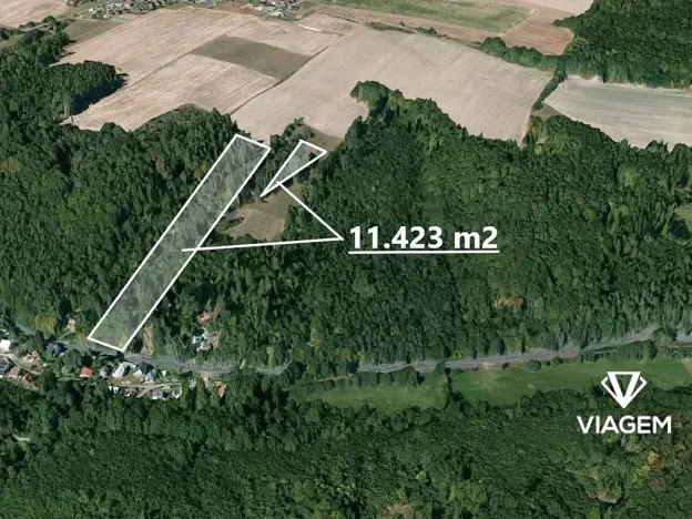 Prodej lesa, Horní Lhota, 11423 m2