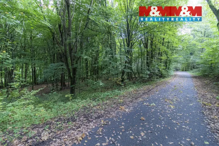 Prodej zahrady, Kostelec nad Černými lesy, Svatbínská, 10316 m2