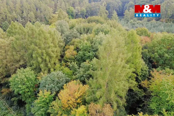 Prodej zahrady, Kostelec nad Černými lesy, Svatbínská, 10316 m2