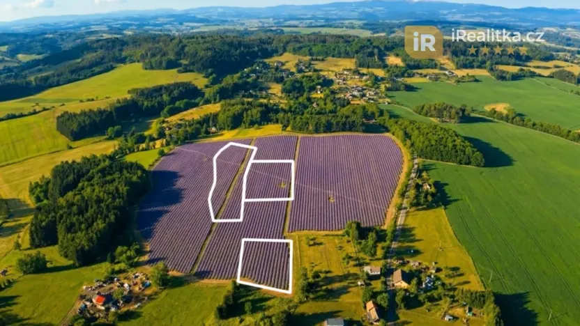 Prodej pole, Nová Paka, 29218 m2