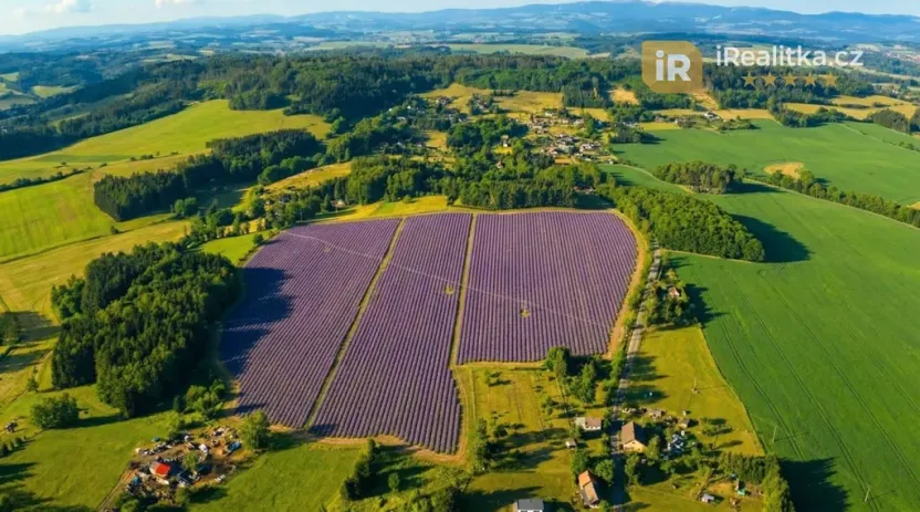 Prodej pole, Nová Paka, 29218 m2