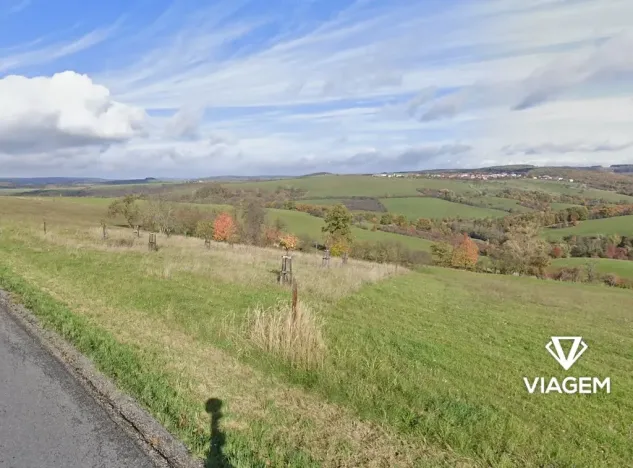 Prodej zahrady, Částkov, 2385 m2