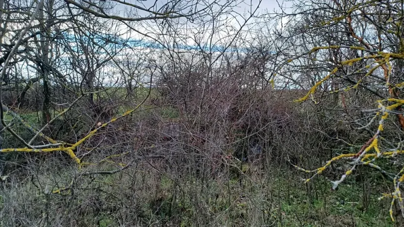 Prodej chaty, Strachotice, 36 m2