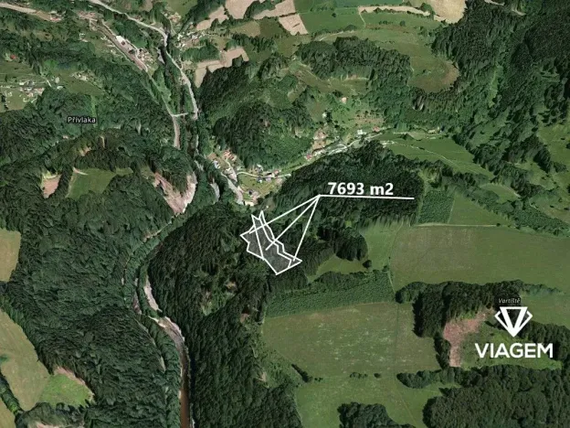 Prodej podílu lesa, Poniklá, 3846 m2