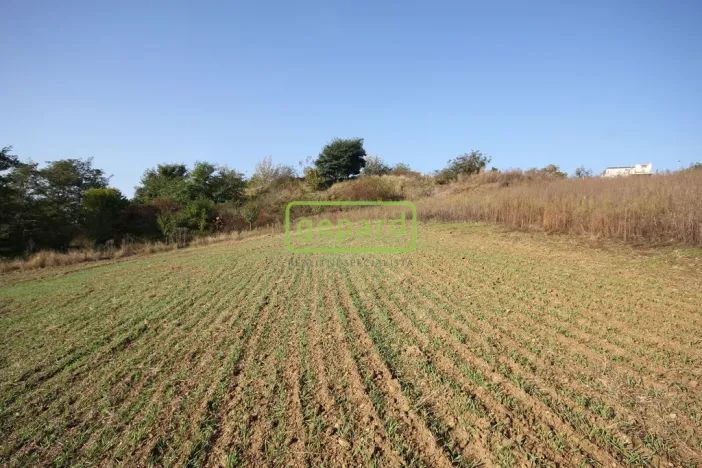 Prodej pozemku pro bydlení, Mokrá-Horákov - Horákov, 3885 m2