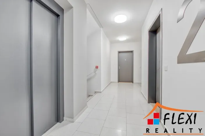 Pronájem bytu 2+kk, Ostrava, F. X. Riepla, 68 m2