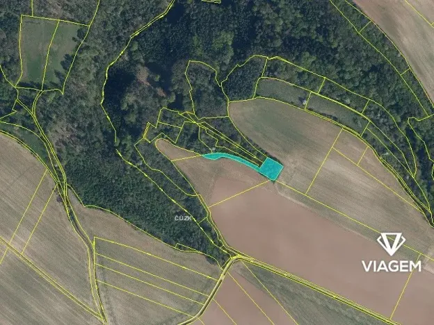 Prodej podílu lesa, Kokořín, 1843 m2