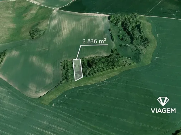 Prodej zahrady, Bošovice, 2836 m2