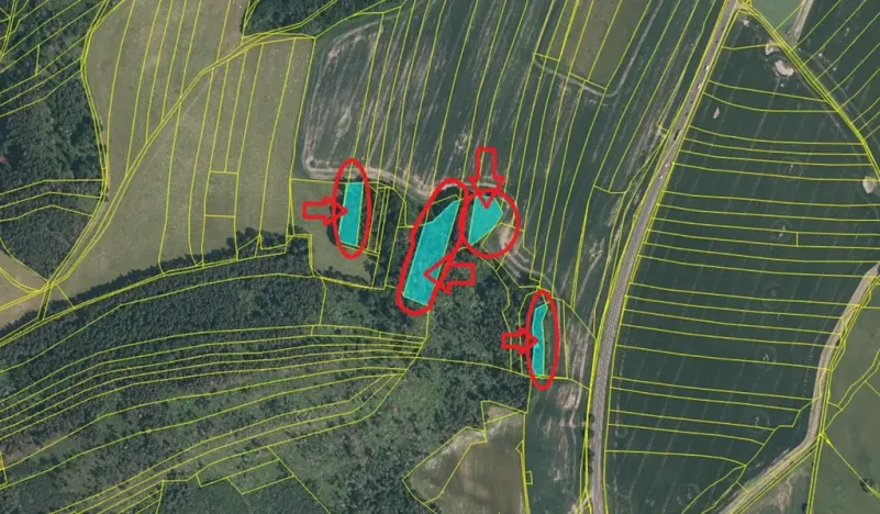 Prodej lesa, Klatovy, 8497 m2