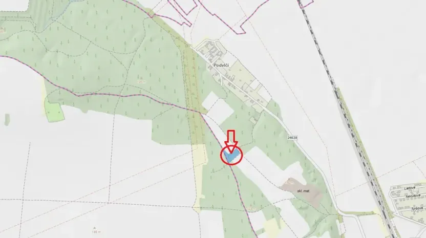 Prodej podílu lesa, Dolní Beřkovice, 1050 m2