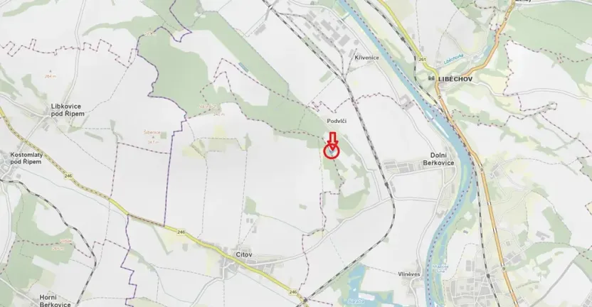 Prodej podílu lesa, Dolní Beřkovice, 1050 m2