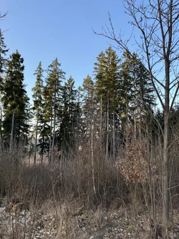 Prodej podílu lesa, Stará Paka, 4610 m2