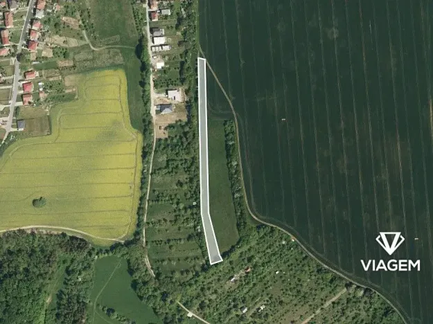 Prodej pole, Bílovice, 7022 m2