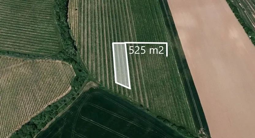 Prodej podílu pole, Boršice, 262 m2