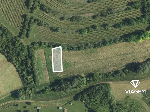 Prodej podílu pole, Uherčice, 97 m2