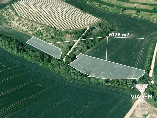 Prodej podílu pole, Uherčice, 2451 m2