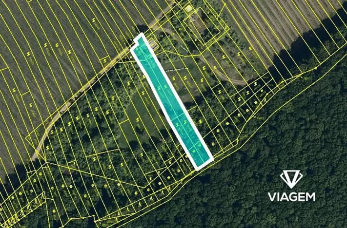 Prodej sadu/vinice, Strážnice, 1259 m2