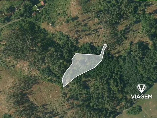 Prodej podílu lesa, Petráveč, 609 m2