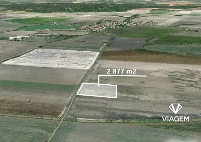 Prodej pole, Sudovo Hlavno, 2877 m2