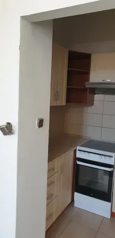 Pronájem bytu 2+kk, Teplice, Dubská, 50 m2