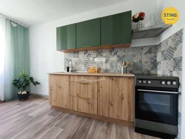 Prodej bytu 1+1, Jihlava, Wolkerova, 29 m2