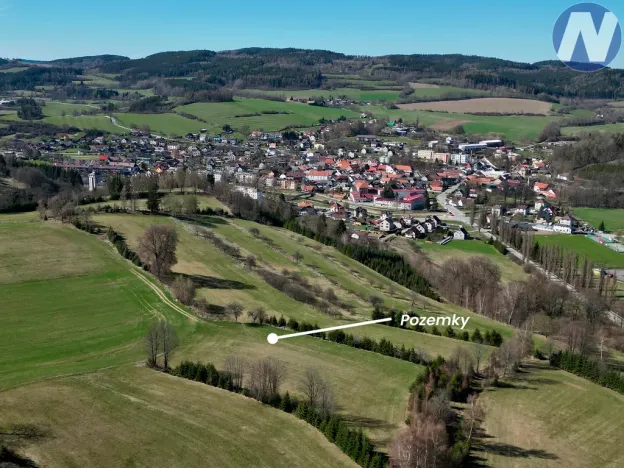 Prodej louky, Čkyně, 73041 m2