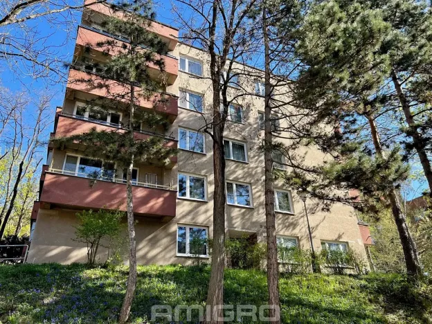 Prodej bytu 2+1, Brno, Podlesí, 53 m2