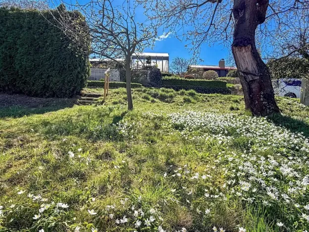 Prodej chaty, Vysoké Mýto, Vinice, 17 m2