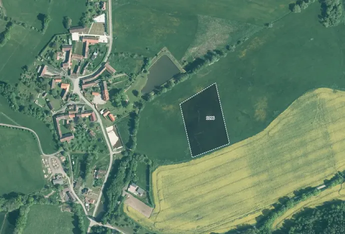 Prodej louky, Kuřimany, 10066 m2