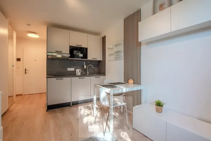 Pronájem bytu 1+kk, Praha - Vršovice, Kubánské náměstí, 19 m2