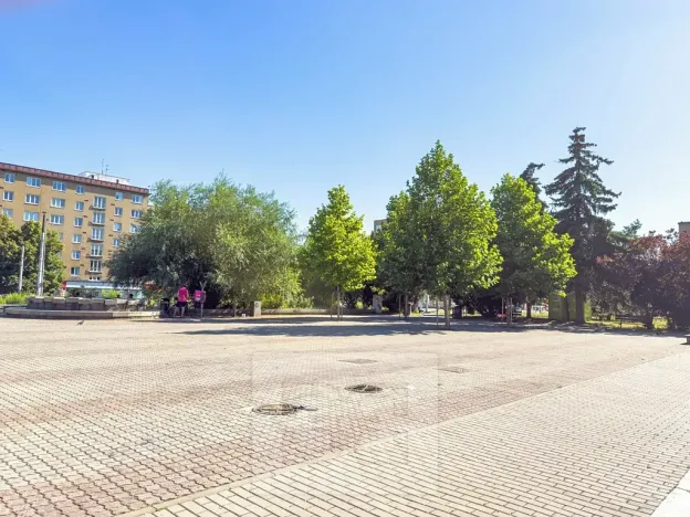 Pronájem bytu 1+kk, Praha - Vršovice, Kubánské náměstí, 19 m2