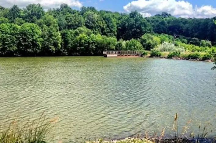 Prodej louky, Velký Ořechov, 21368 m2