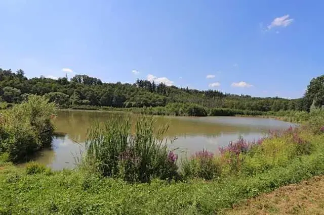 Prodej podílu pole, Bítov, 7251 m2