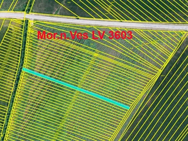 Prodej podílu pole, Moravská Nová Ves, 890 m2