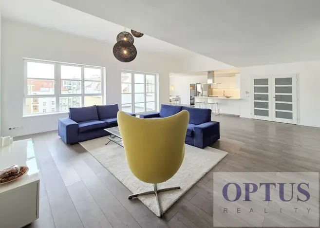 Pronájem bytu 6+kk a větší, Praha - Staré Město, Dušní, 218 m2